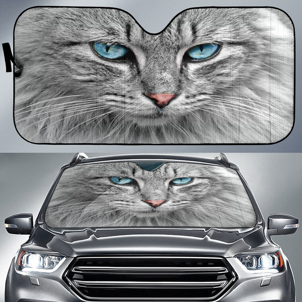 vehicle sunshade with a grey blue-eyed cat