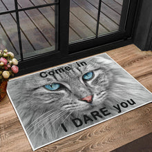 Load image into Gallery viewer, Blue Eyed Cat Door Mat
