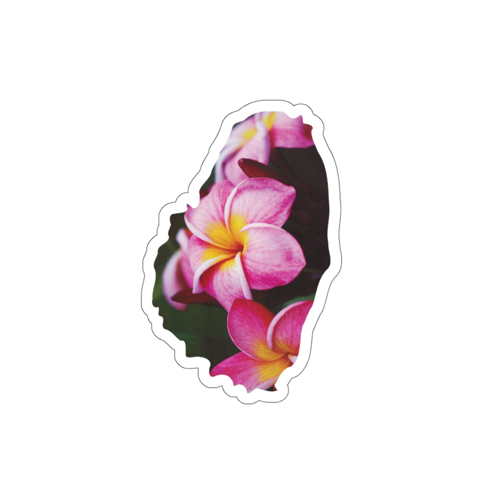 Die-cut sticker showing St. Vincent Frangipani flower.