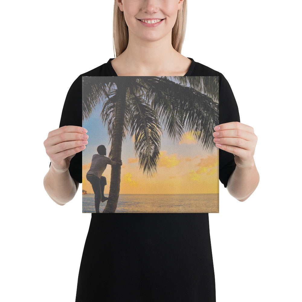 St. Vincent and the Grenadines Canvas Wall Art - Sunset Coconut Tree Climber